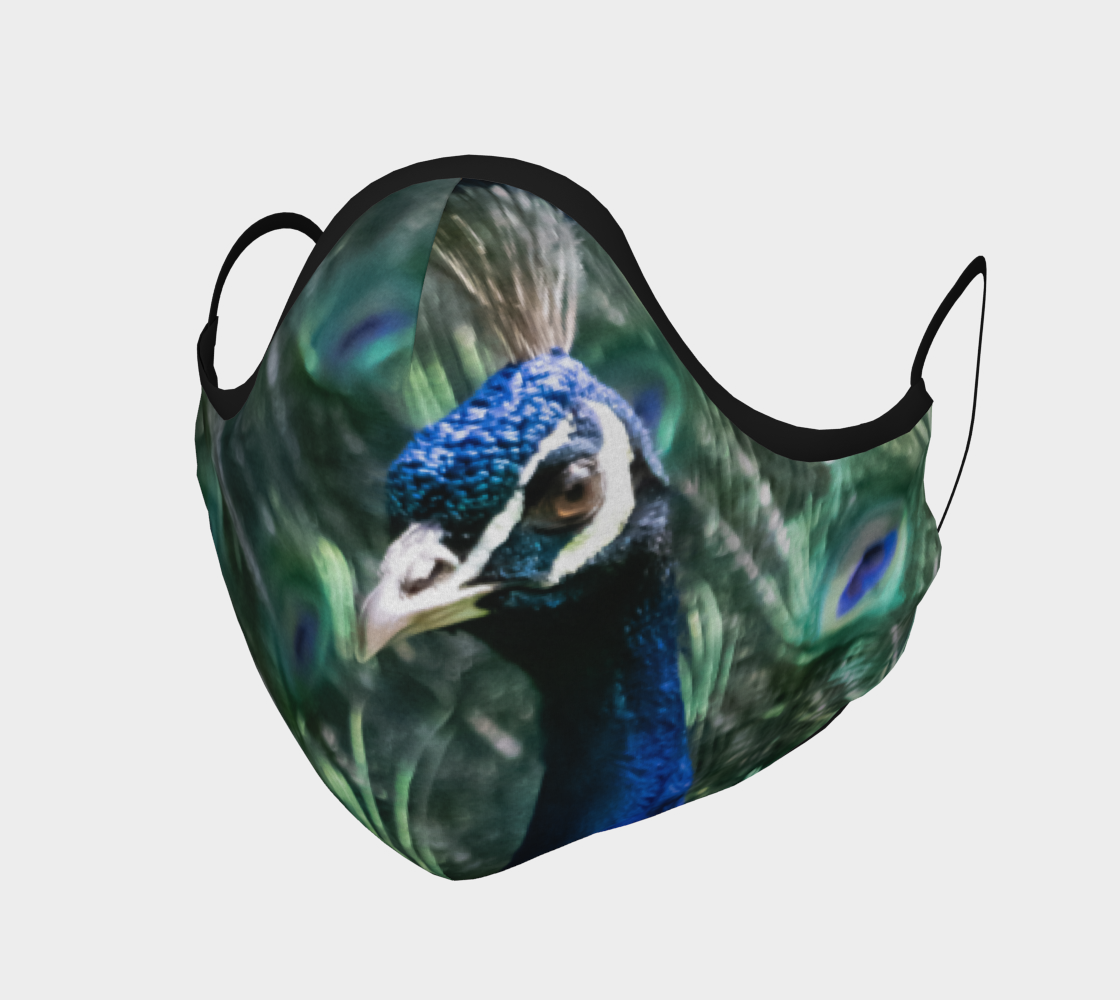 Peacock Feather Face Covering III preview