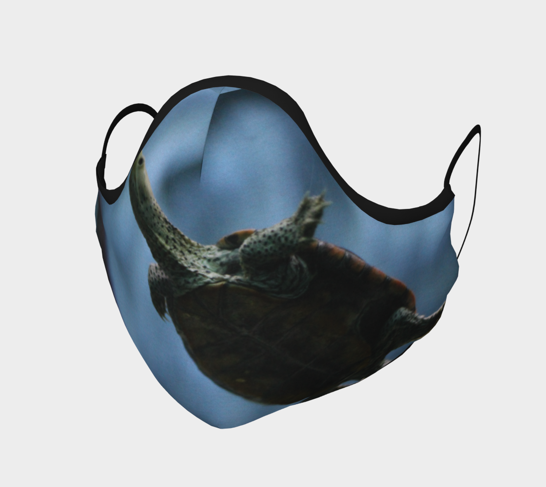 Turtle Face Mask preview