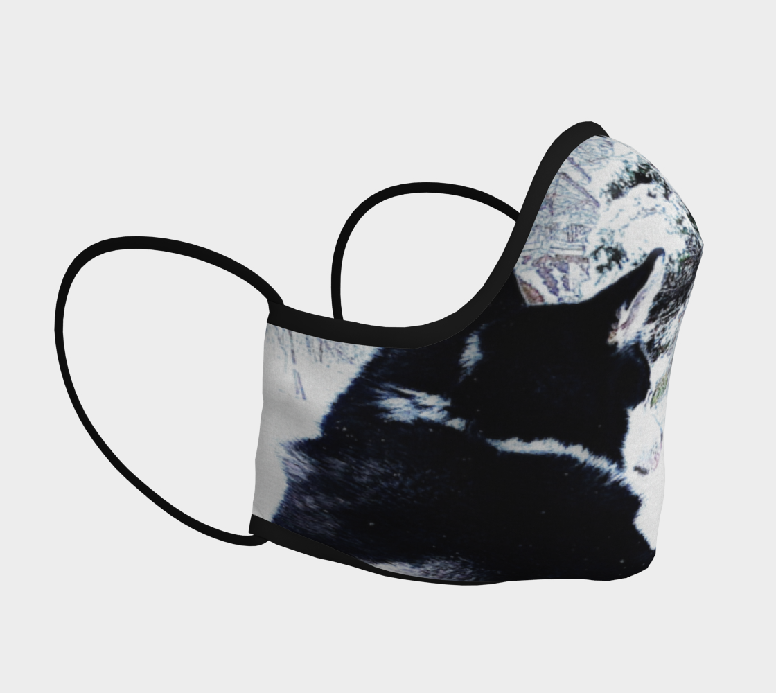 Winter Husky preview #3