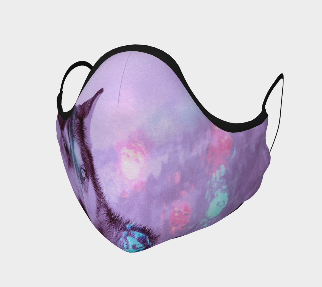 Northern Lights preview #1