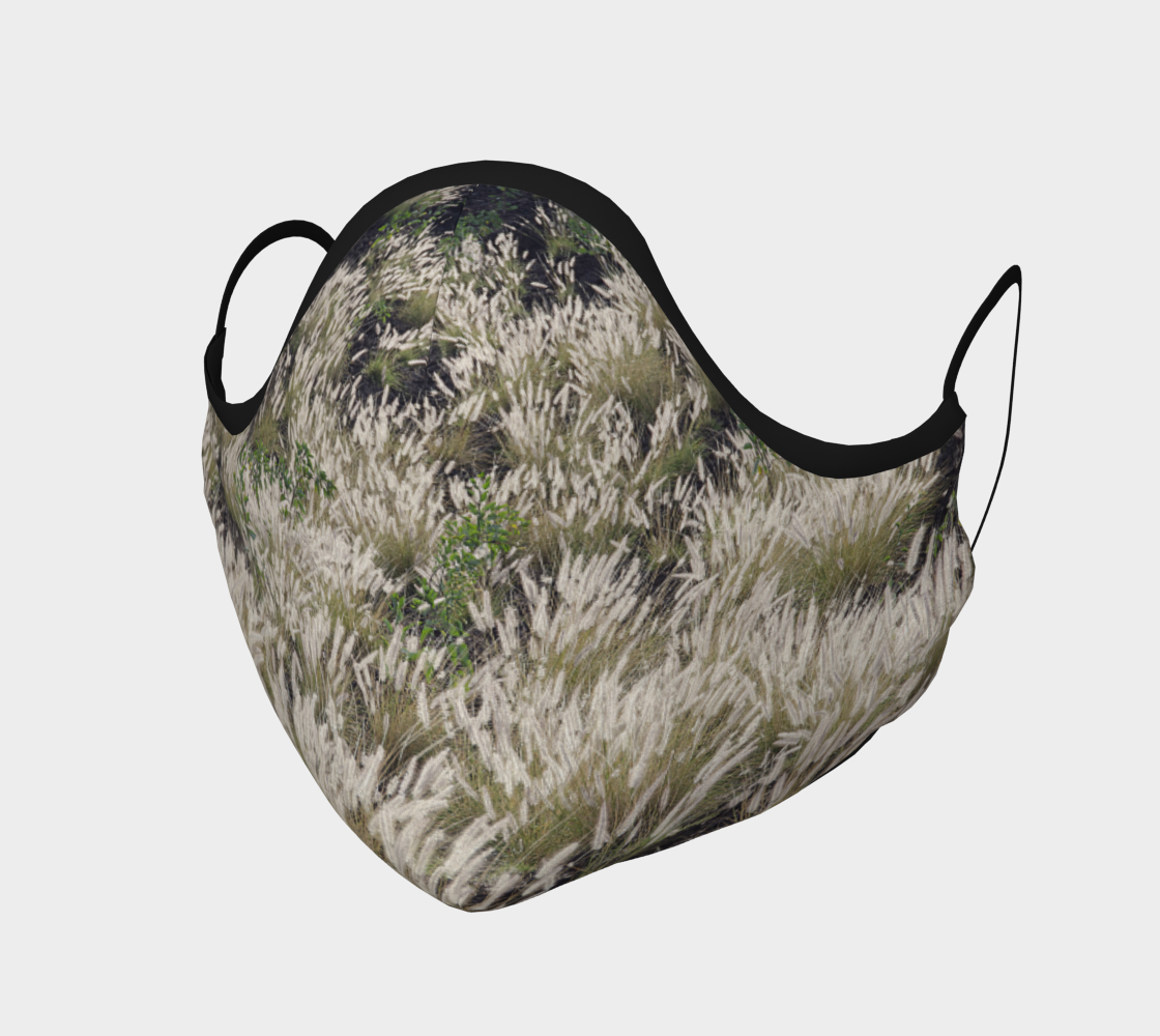 Aperçu de Graminées  |  Grasses