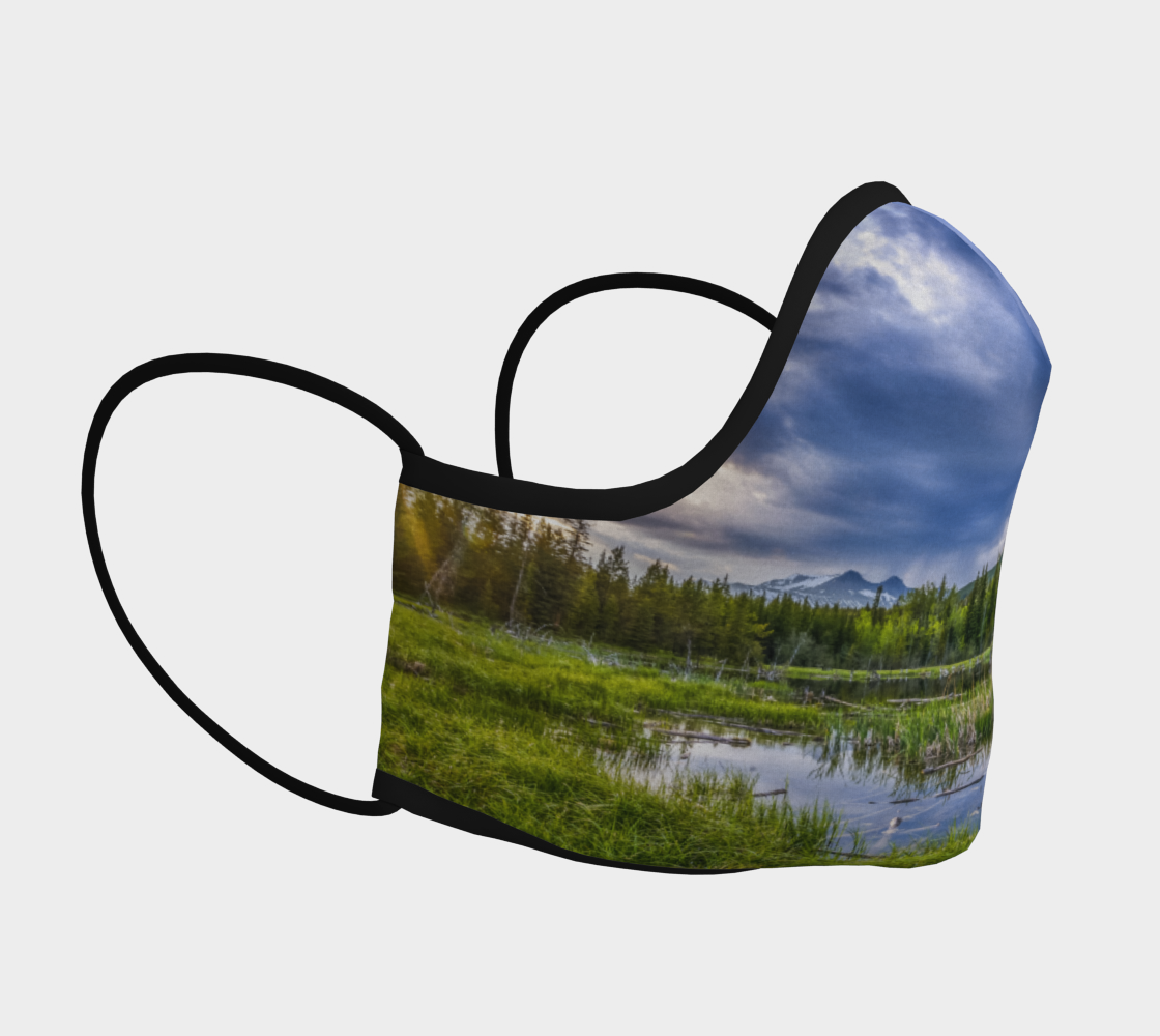 Crowsnest StillWater Reflection by Lisa Kinnear preview #3