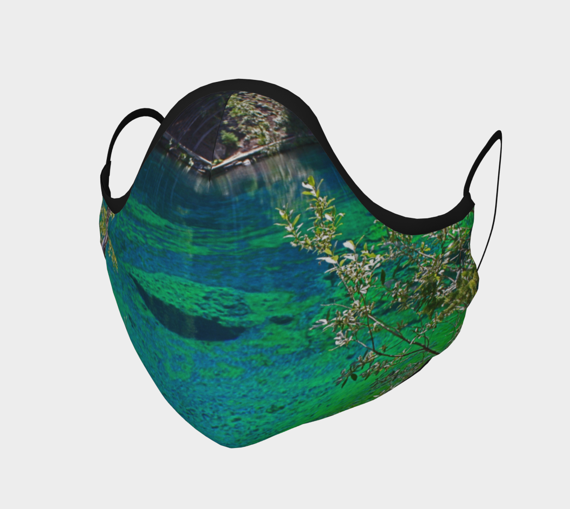 Tree & Aquamarine Waters  preview