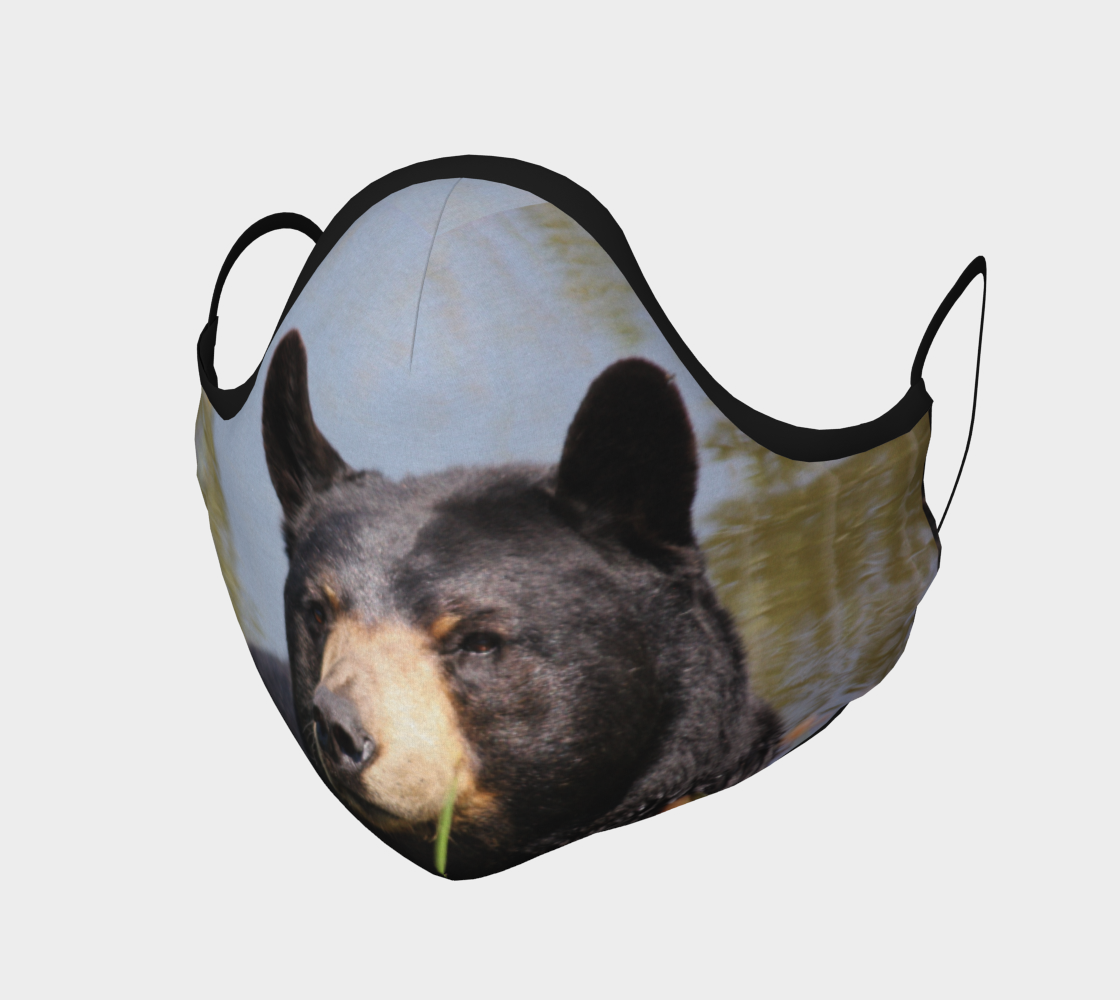 Black Bear with Brown Nose  preview