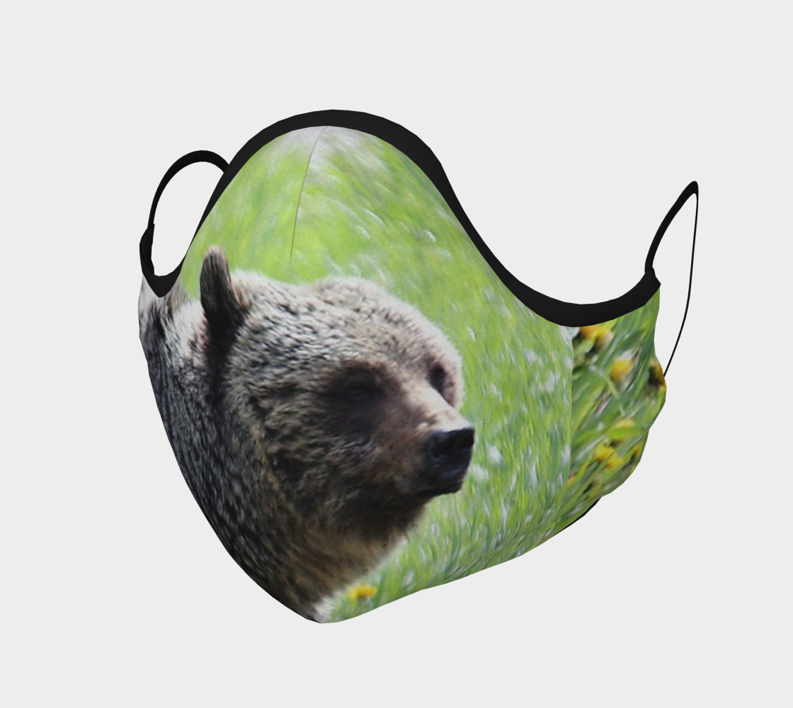 Grizzly Bear Face  preview