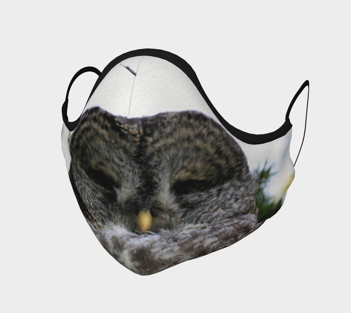 Resting Owl  preview