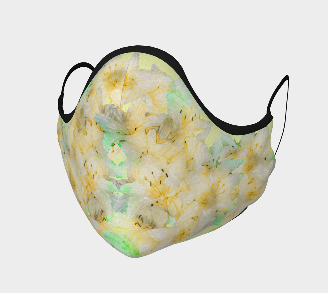 Daylilies preview #1