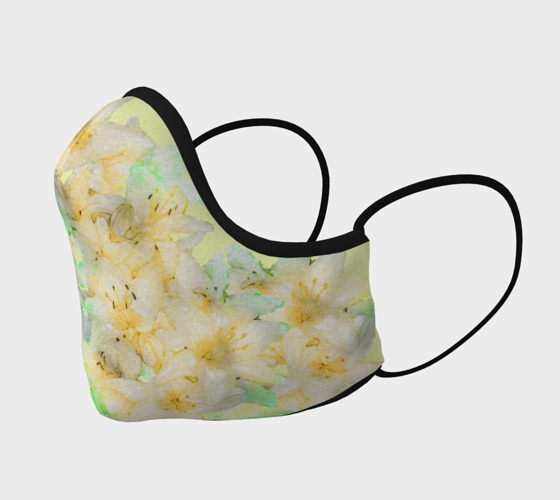 Daylilies preview #2