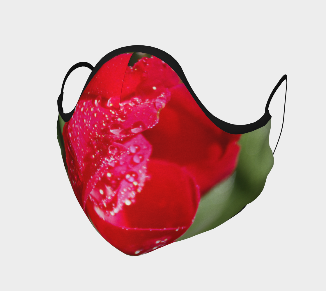 Open Red Rose with Droplets  preview