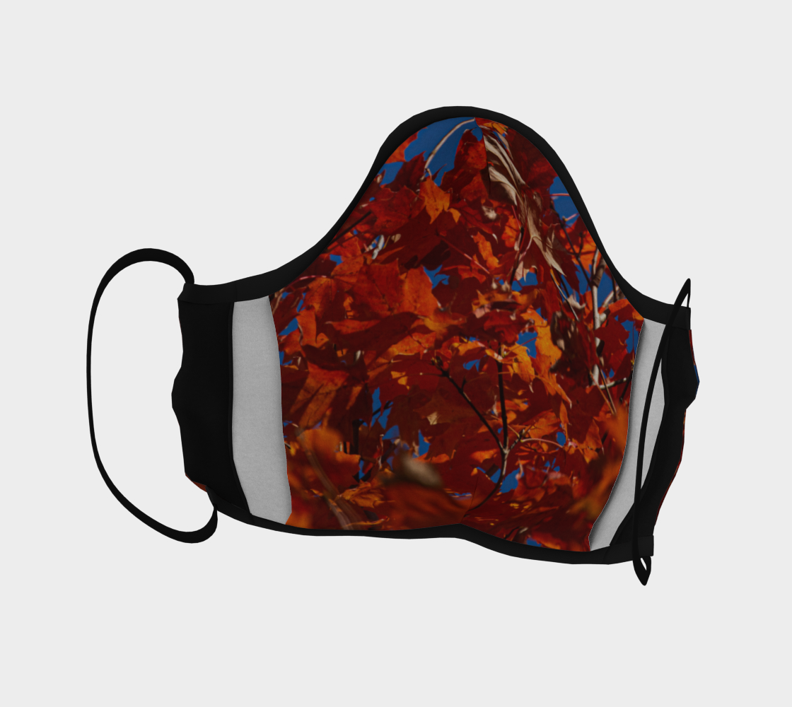 Autumn Leaves on a Blue Sky preview #4