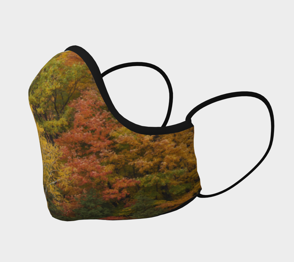 Fall Colours Face Mask preview #2