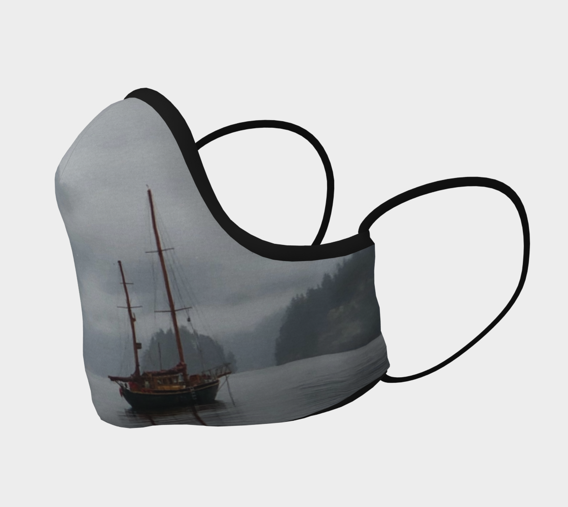 deep cove fog preview #2