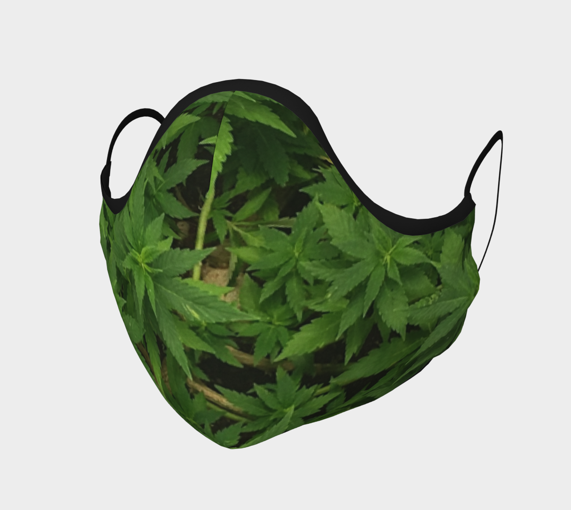 Canopy preview