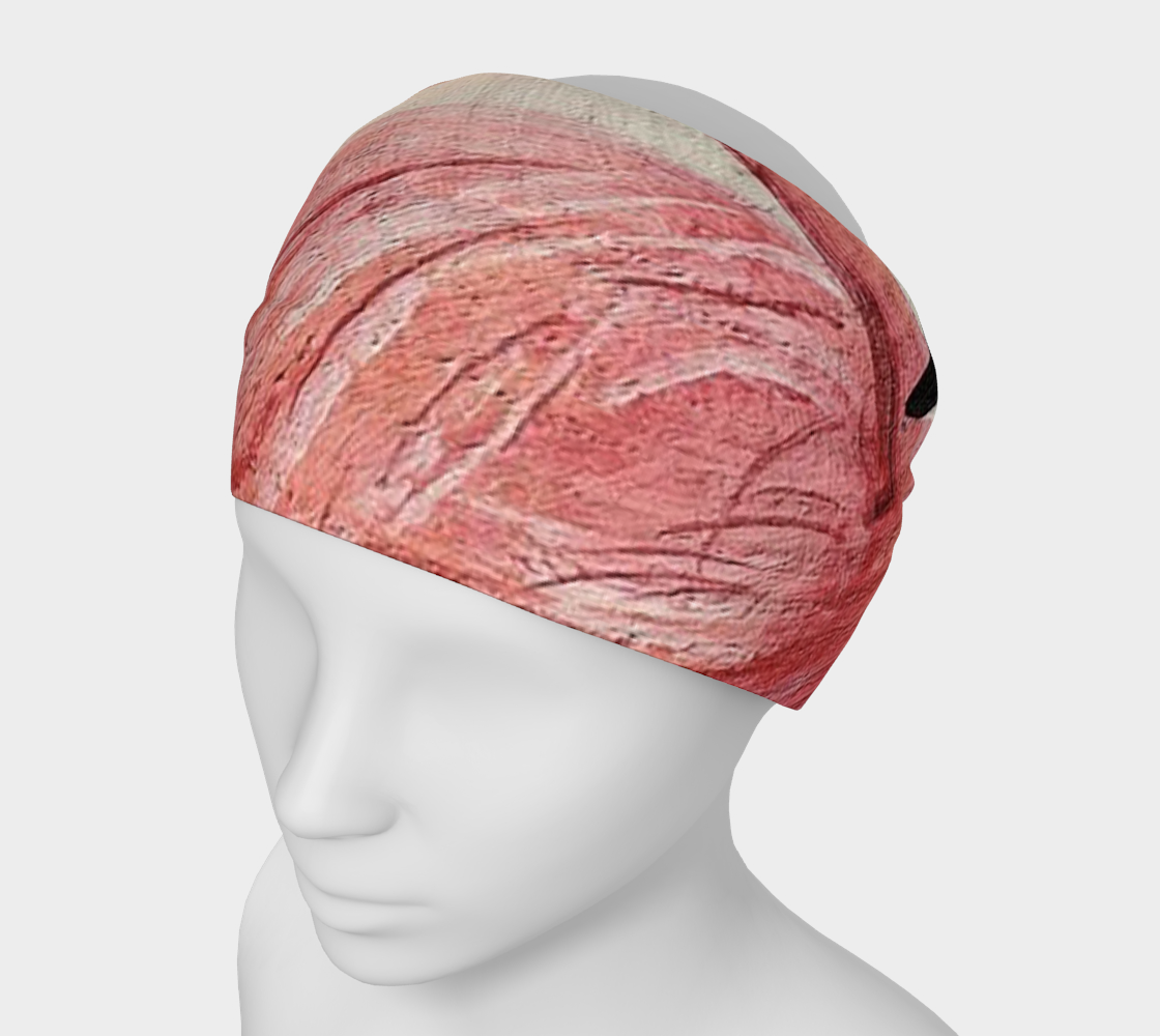 Flamingo Dance Headband preview
