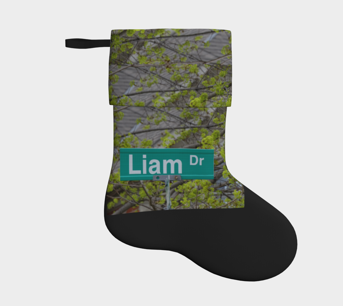 Liam Holiday Stocking 2 preview