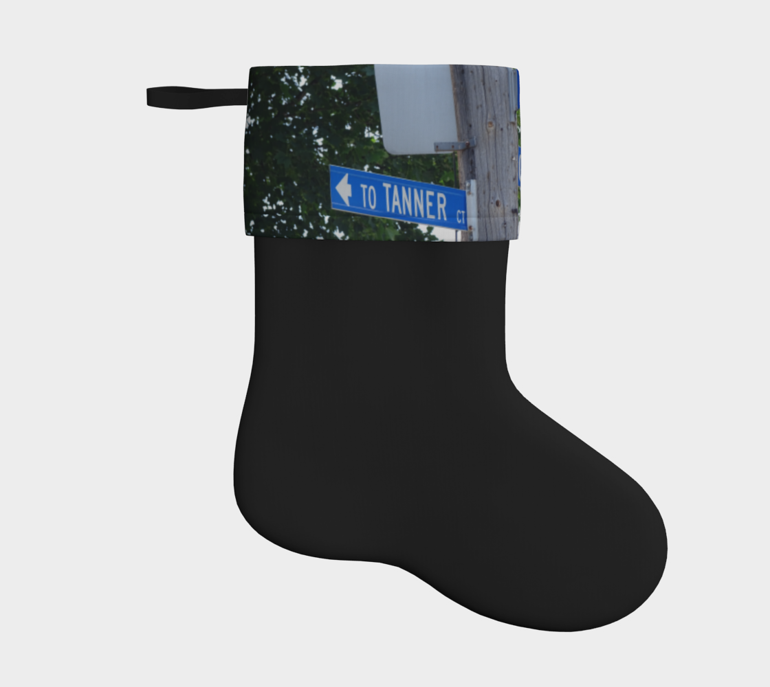 Tanner Holiday stocking  3D preview