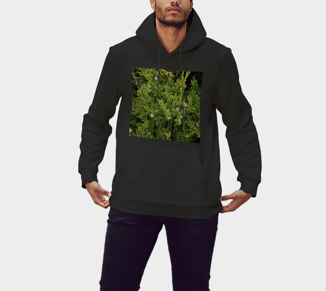 DTG Pullover Hoodie Evergreen And Berries preview