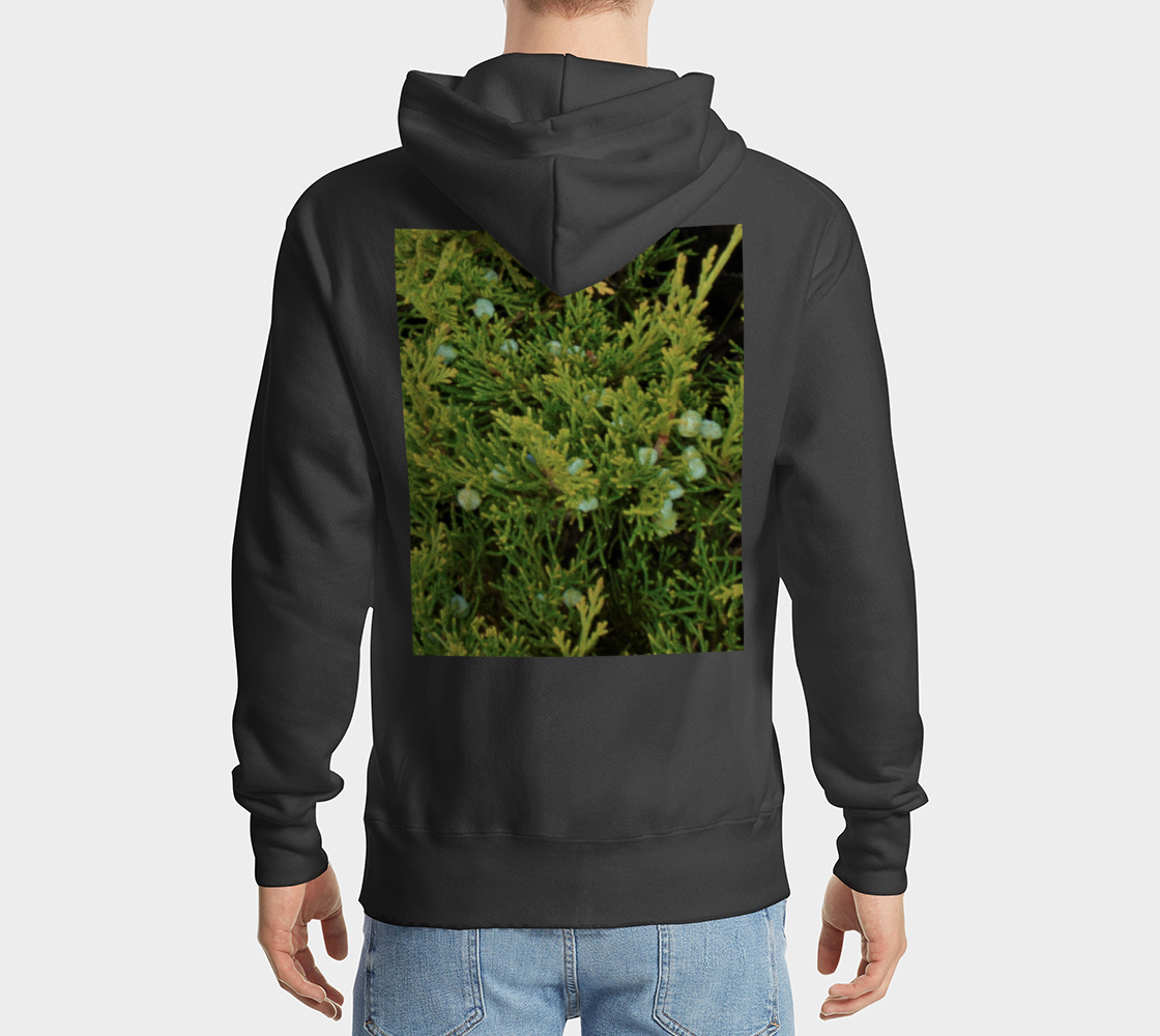 DTG Pullover Hoodie Evergreen And Berries preview #2