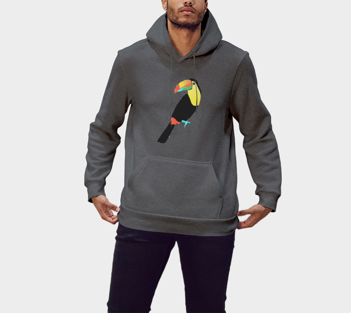 Toucan Hoodie in Gray aperçu