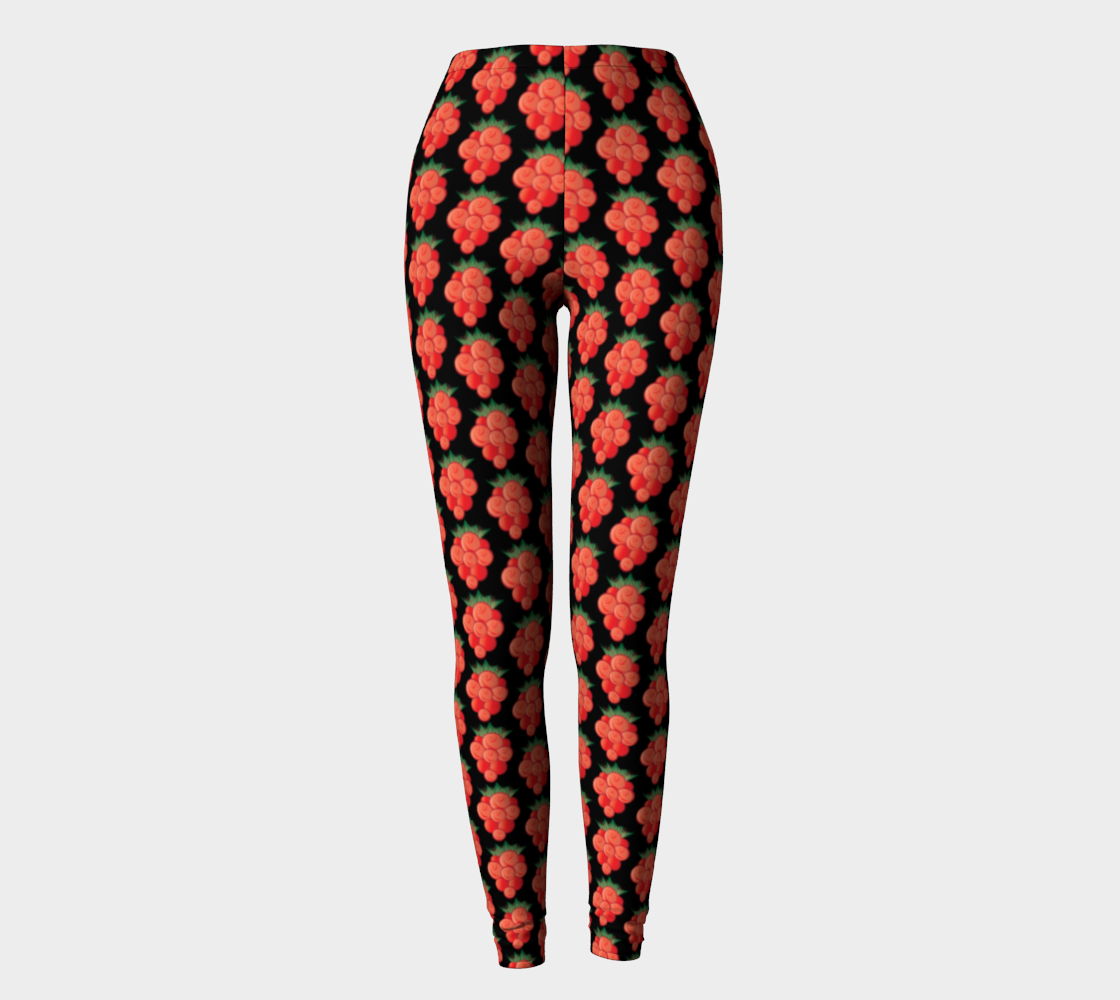 Aperçu de Salmonberry Leggings