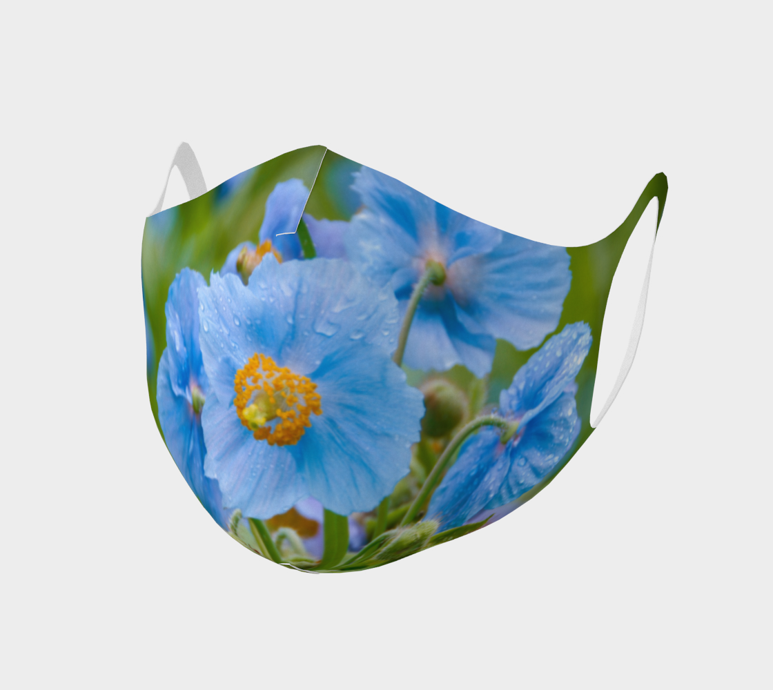 Aperçu de Pavots bleus  |  Blue Poppies