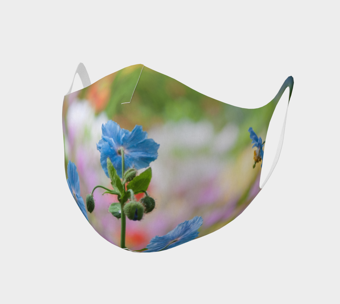 Aperçu de Pavots bleus  |  Blue Poppies
