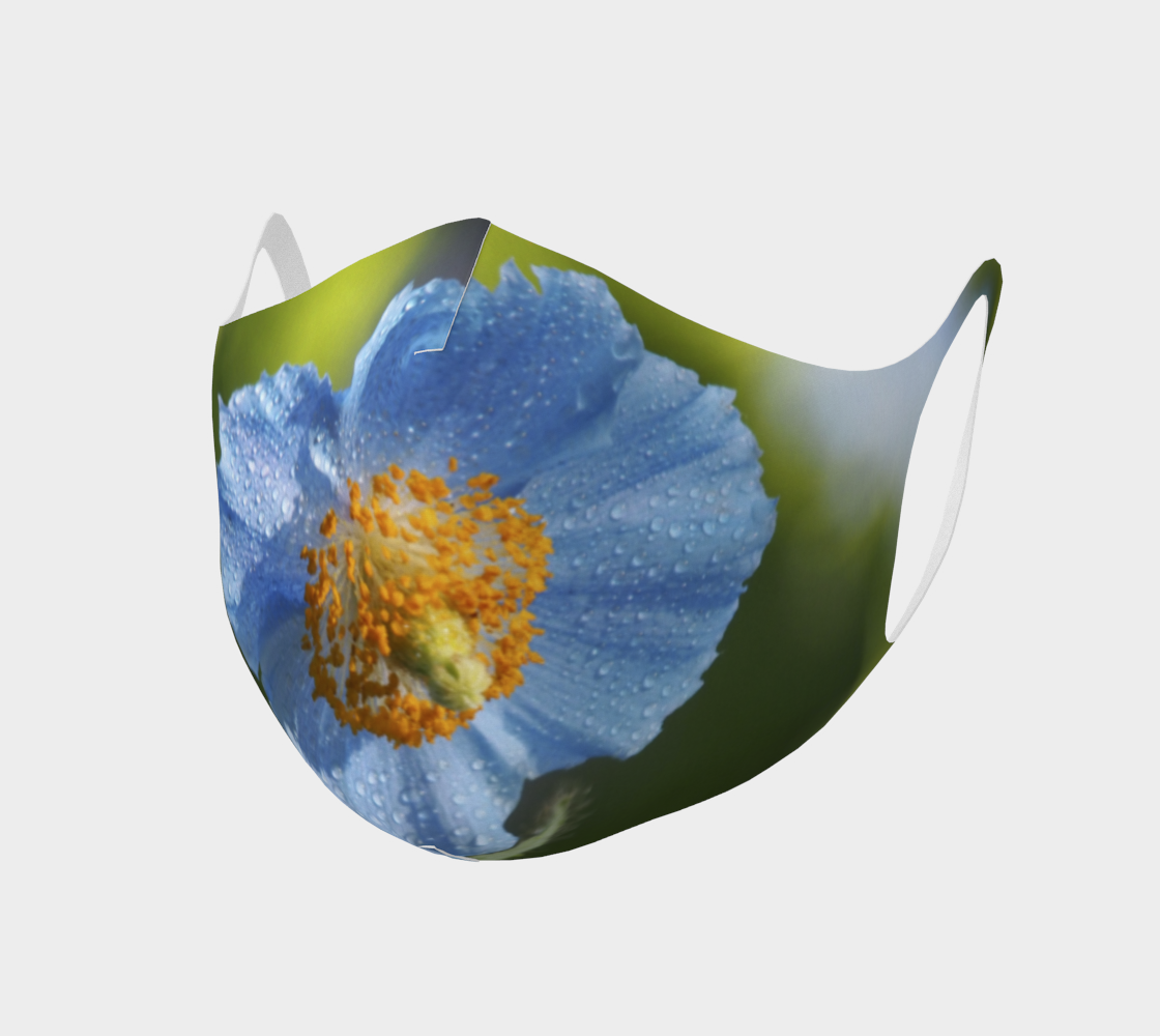 Aperçu de Pavot bleu  |  Blue Poppy
