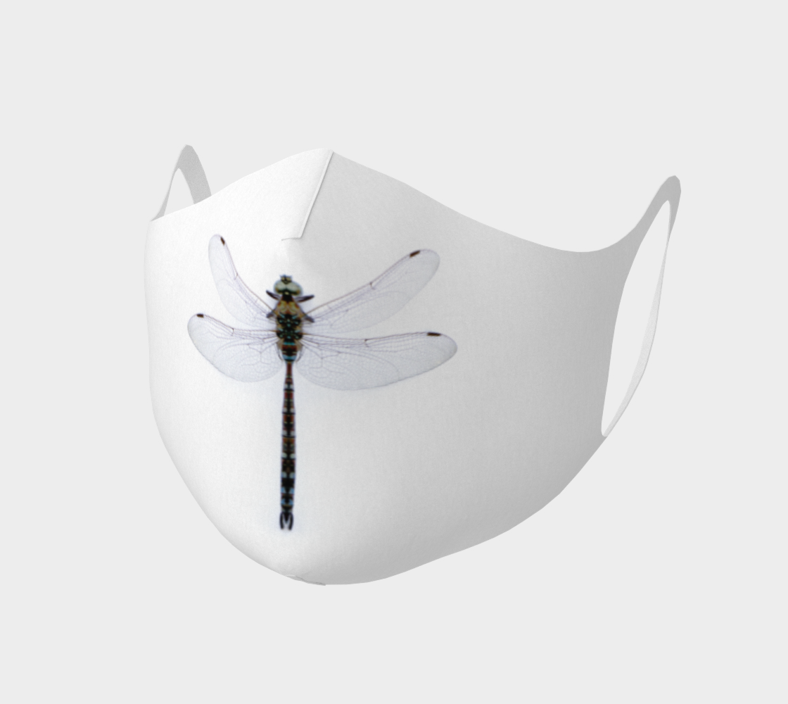 Aperçu de Libellule  |  Dragonfly