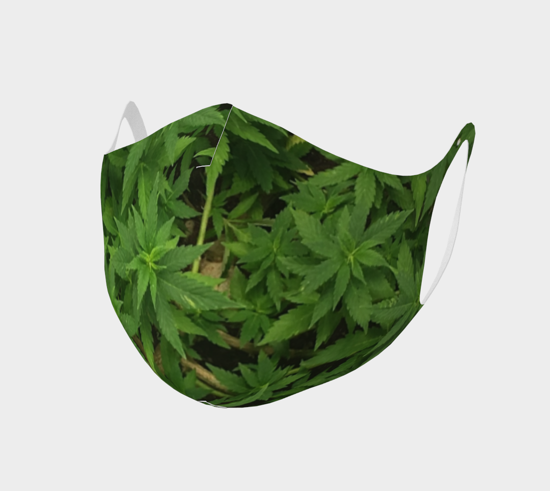 Canopy preview