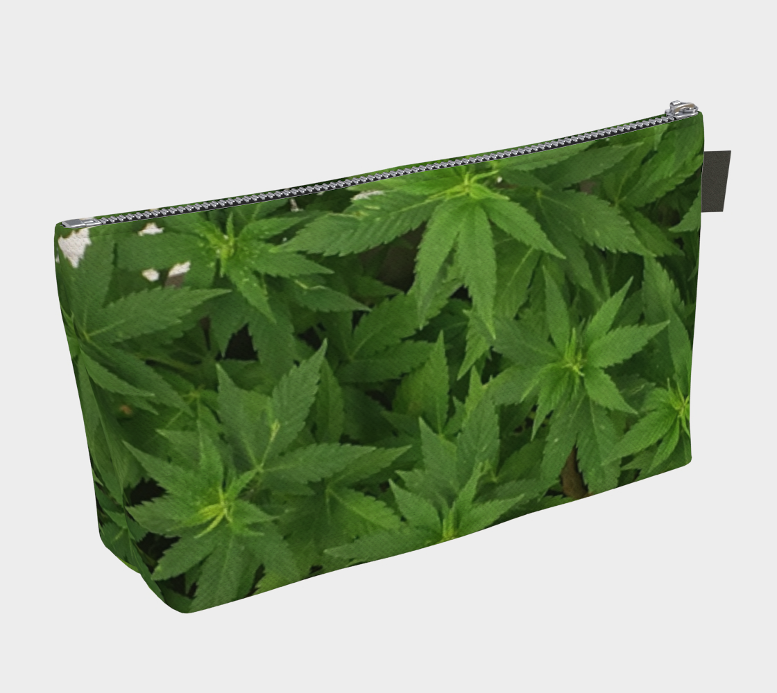 Canopy preview #2