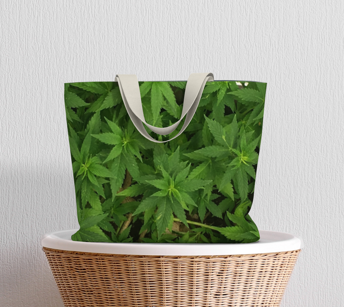 Canopy preview #5