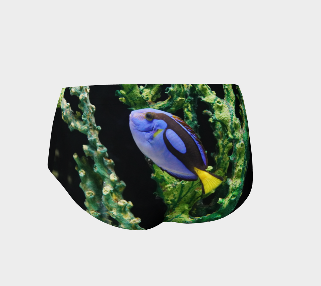 Dory Briefs preview #2
