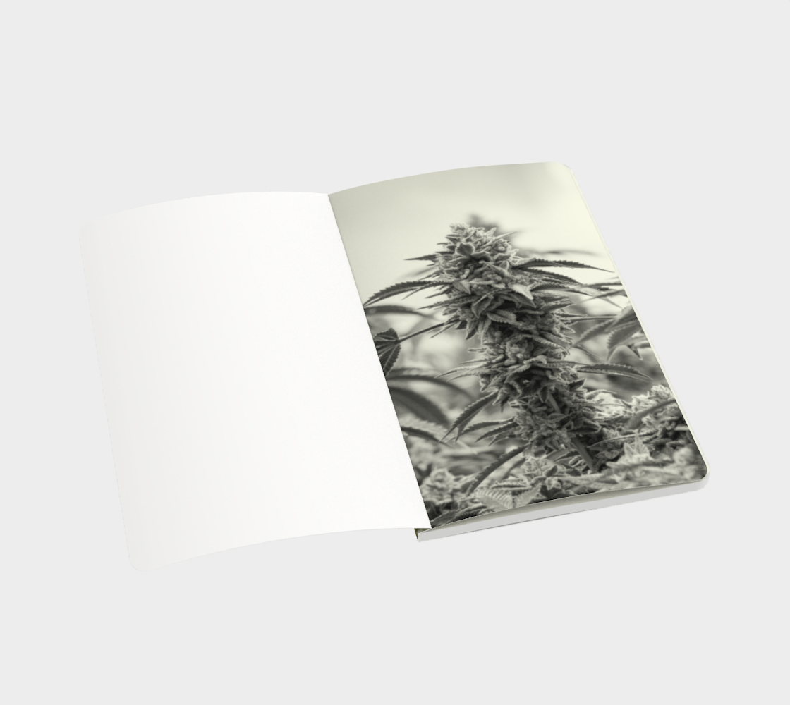 Lovely Ladies Notebook preview #3