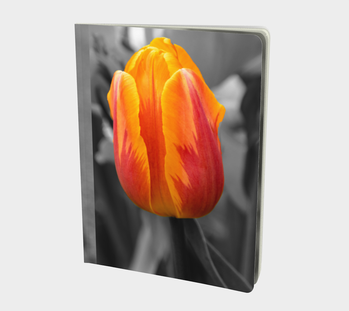 Spring colors note book preview #1