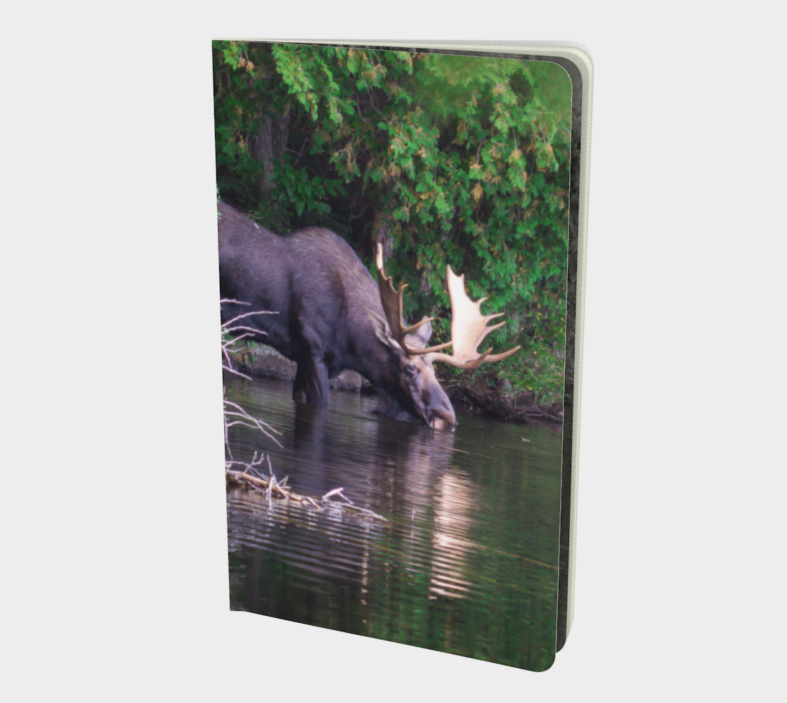 Aperçu de Moose notebook