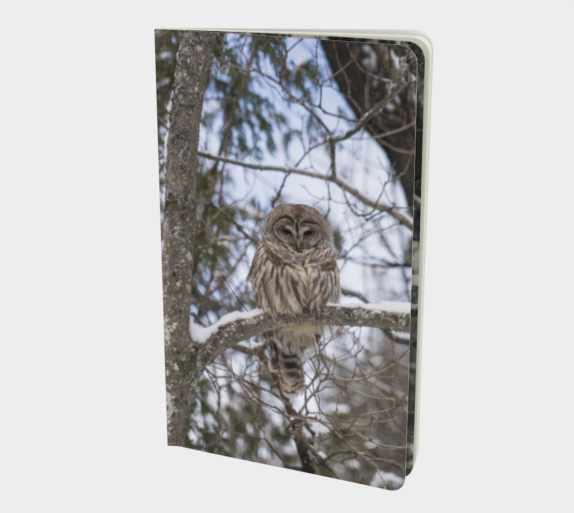 Aperçu de owl notebook #1