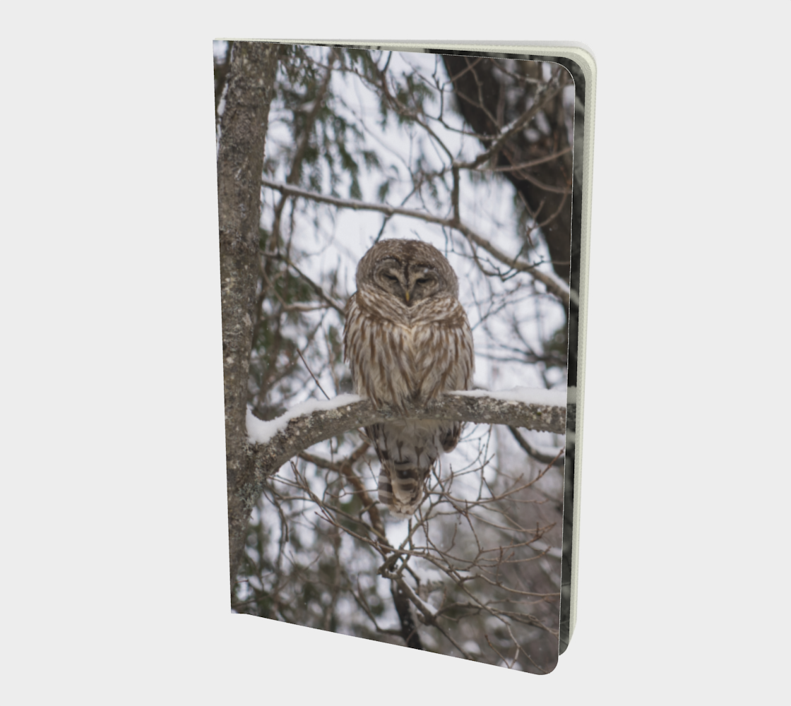 Aperçu de owl notebook #1