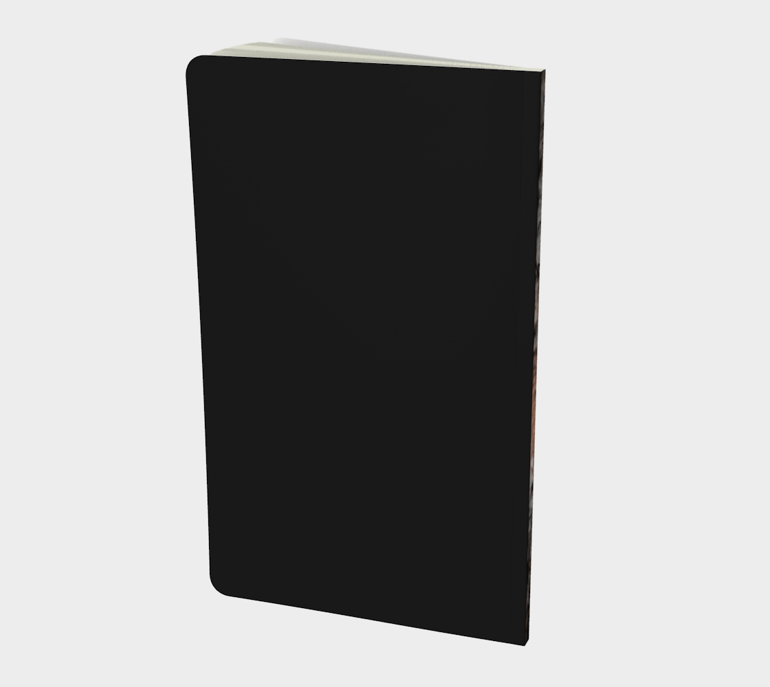 Aperçu de Black-backed woodpecker notebook #2