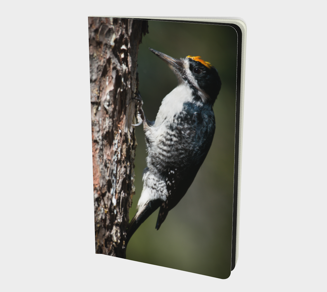 Black-backed woodpecker notebook Miniature #2