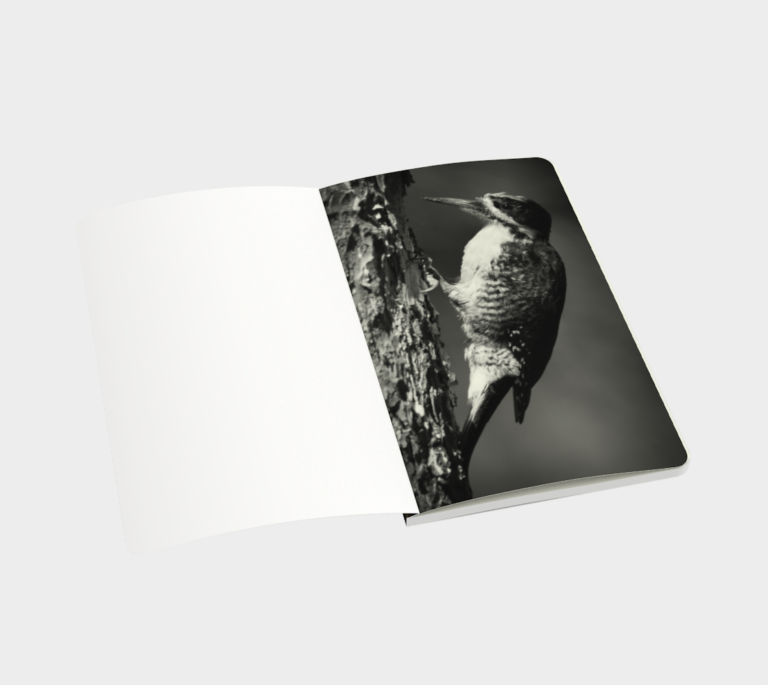 Black-backed woodpecker notebook Miniature #4