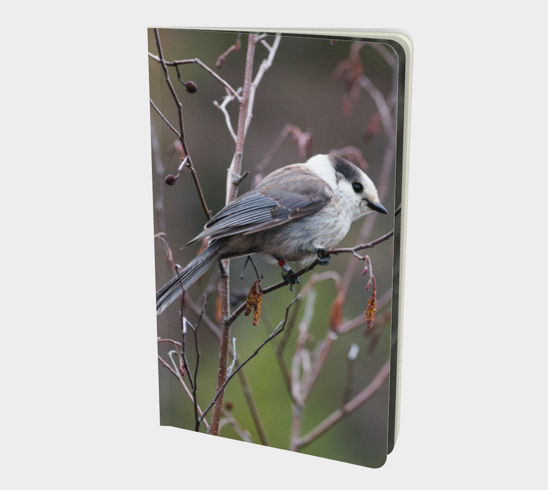 Aperçu de Canada Jay notebook