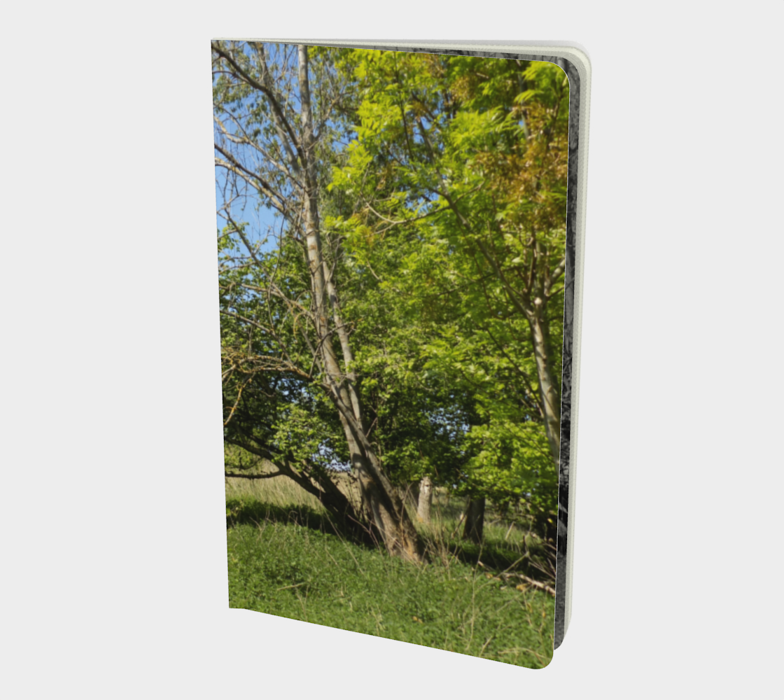 Notebook Green Forest preview