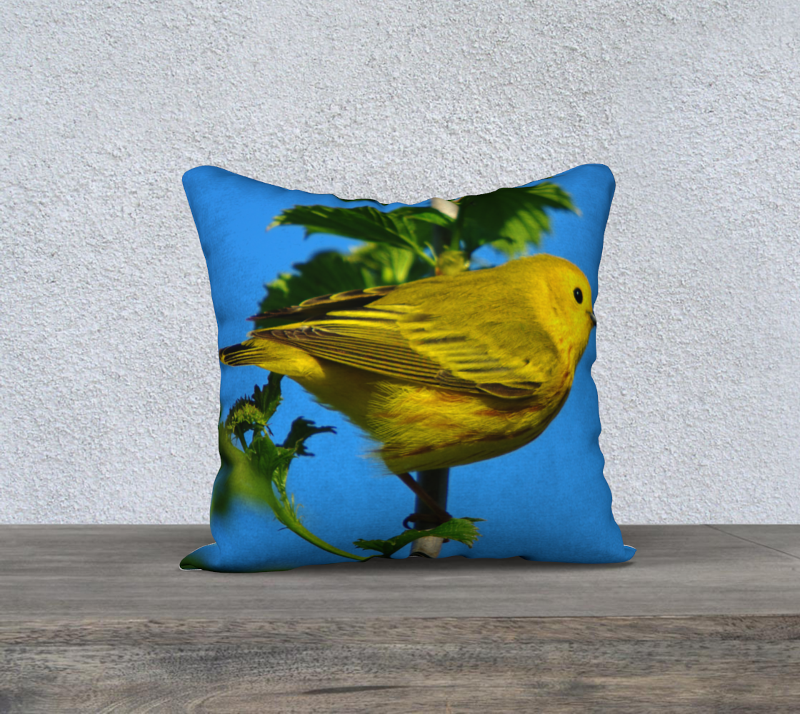yellow warbler preview