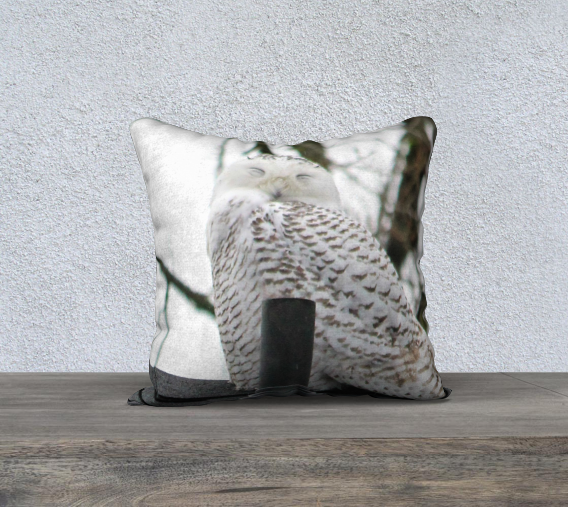 Sleepy Owl Pillow Case 3D preview