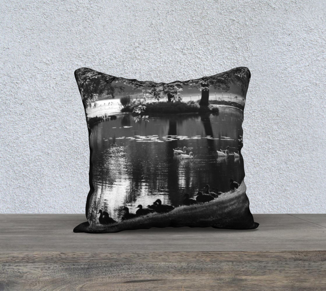 Park Life 18x18 Pillow Case preview