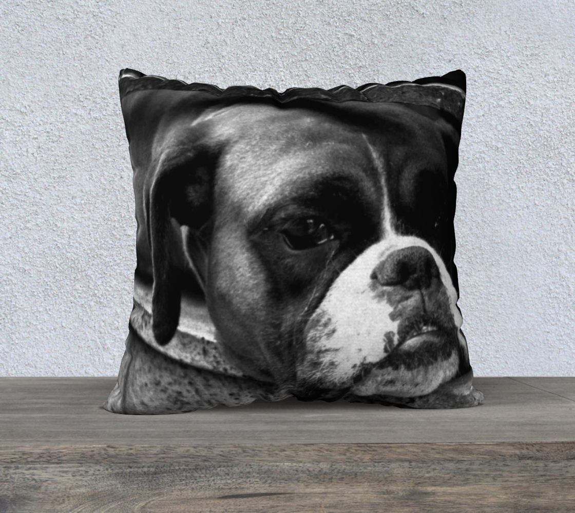 Boxer Dog On Windowsill 22x22 Pillow Case preview