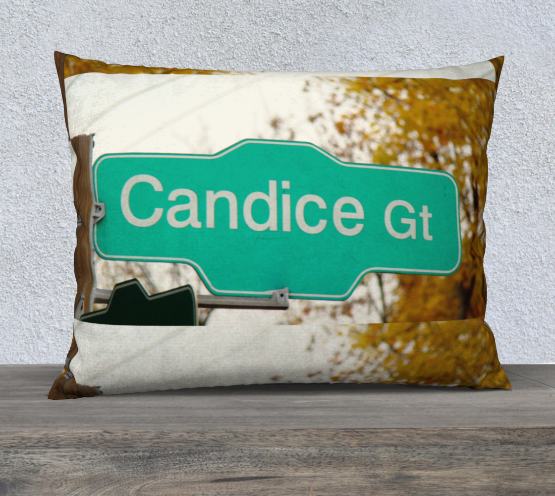 Candice Gt 26x20 Pillow case  preview