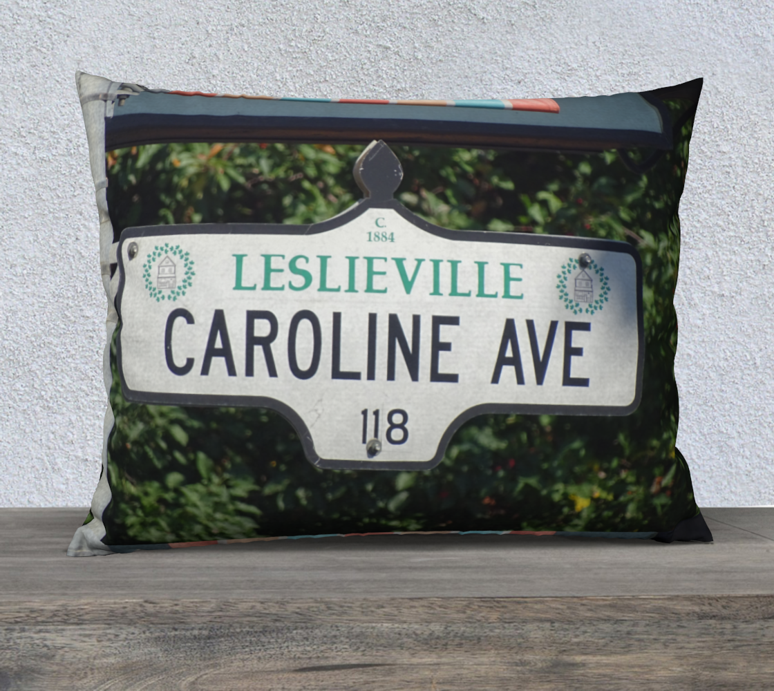 CarolineAve 26X20 Pillow case  preview