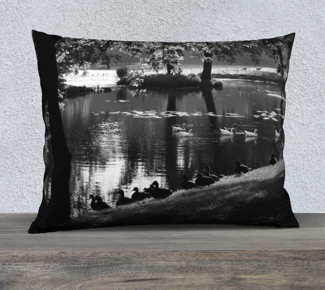 Park Life 26x20 Pillow Case preview