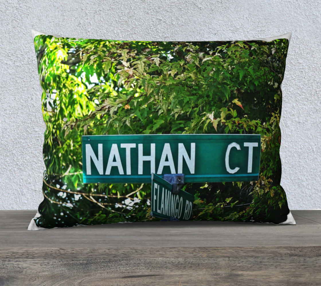 Nathan Ct  26X20 Pillow case  preview
